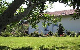 Apartment Spehar